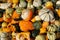 Colorful heap of assorted pumpkins