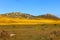 Colorful Hills at West Coast National Park in South Africa