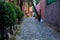 Colorful Hispanic houses in empty alley from Mexico City