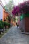 Colorful Hispanic houses and flowers in alley from Mexico City