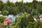 Colorful Homes Up Fir Covered Alaskan Hill