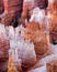 Colorful Hoodoos of Bryce Canyon