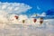 Colorful hot air balloons flying blue sea