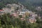 Colorful houses and a green pine forest in Himalaya mountains in Dharamsala, India