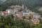 Colorful houses and a green pine forest in Himalaya mountains in Dharamsala, India