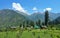 Colorful houses in Parvati Valley, a holiday destination in the the northern Indian state of Himachal Pradesh -famous for the best