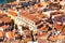 Colorful houses and red roofs