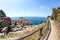 Colorful houses on a rock near the sea in Manarola, Cinque Terre