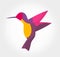 Colorful hummingbird abstract symbol