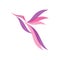 Colorful Hummingbird icon vector in modern flat style for web, graphic and mobile design