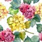 Colorful hydrangeas. Floral botanical flower. Seamless background pattern.