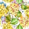 Colorful hydrangeas. Floral botanical flower. Seamless background pattern.