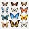 Colorful Hyper-realistic Butterfly Set With Transparent Background