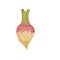 Colorful icon of ripe rutabaga or swede. Fresh vegetable. Organic product. Natural product. Edible plant. Food and