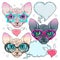 Colorful icons, cat in trendy glasses and a cat with sunglasses