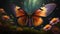 colorful illustrated butterfly in orange colors