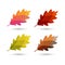 Colorful illustrated oak leaves