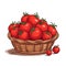 Colorful illustration in cartoon style of a bunch of tomatoes in wicker basket on white background. Mediterranean Cuisine