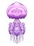 Colorful illustration of jellyfish. The object is separate from the background.