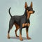 Colorful Illustration Of A Miniature Pinscher With Distinctive Markings