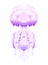 Colorful illustration of neon jellyfish. The object is separate from the background.