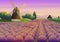 Colorful illustration with purple lavender field with old windmill on background of sunset sky.