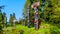 Colorful indigenous Totem Poles in Stanley Park in