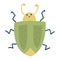 Colorful insect icon wildlife wing detail summer beetle stink bug wild vector illustration.