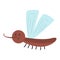 Colorful insect mosquito icon isolated wildlife wing detail summer bug wild vector illustration.