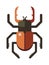 Colorful insects vector stag beetle