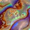 Colorful iridescent surface texture of abalone shell macro shot