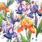 Colorful irises. Floral botanical flower. Seamless background pattern.