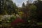 Colorful Japanese garden in spring in Powerscourt estate