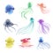 Colorful Jellyfish Collection, Beautiful Swimming Marine Underwater Creatures Vector Illustration