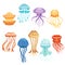 Colorful jellyfish set, swimming marine creatures watercolor vector Illustrations