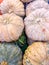 Colorful kabocha gourd / pumpkins sold at grocery store