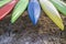 Colorful kayaks parked in the parking lot, waiting for tourists