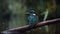 Colorful kingfisher perches on branch, watching over tranquil pond generative AI