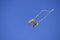 Colorful kite flying in the wind against the blue sky