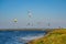 Colorful kiteboard parachutes in the sky. Kitesurfing, Kiteboarding, Kiteboarders competitions concept. Kitesurfers surfing the