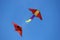 Colorful kites flying