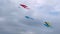 Colorful kites are flying in the cloudy sky during summer outdoor festival