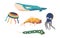 Colorful Kites, Jellyfish, Whale, Fish, Octopus And Snake, Perfect For Outdoor Fun And Soaring High In The Sky