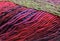 Colorful knitting wool
