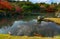 Colorful koi fish in a peaceful Japanese pond with fall foliage reflecting in the water