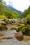 Colorful Krnica river in Krnica valley near Kranjska gora in Triglav national park in Slovenia