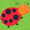 Colorful ladybug on the green background. Happy animal. Vector illustration, cartoon baby.