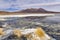 Colorful lagoon in the High Andean Plateau, Bolivia