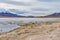 Colorful lagoon in the High Andean Plateau, Bolivia