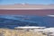 Colorful Laguna Colorada on the plateau Altiplano in Bolivia